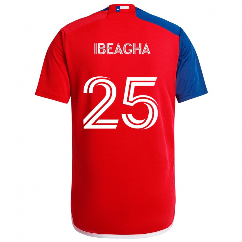 Kandiny Kinder Sebastien Ibeagha #25 Blau Rot Heimtrikot Trikot 2024/25 T-Shirt