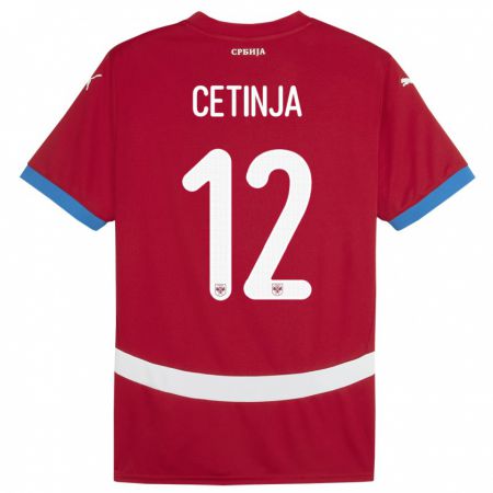 Kandiny Kinder Serbien Sara Cetinja #12 Rot Heimtrikot Trikot 24-26 T-Shirt