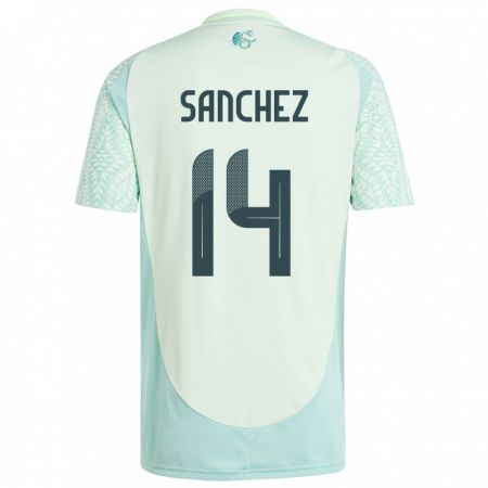 Kandiny Kinder Mexiko Erick Sanchez #14 Leinengrün Auswärtstrikot Trikot 24-26 T-Shirt