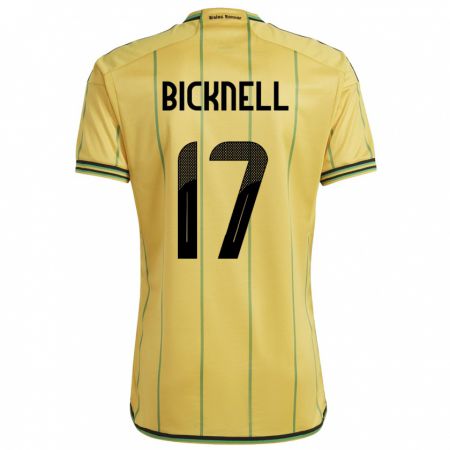 Kandiny Damen Jamaika Alexander Bicknell #17 Gelb Heimtrikot Trikot 24-26 T-Shirt