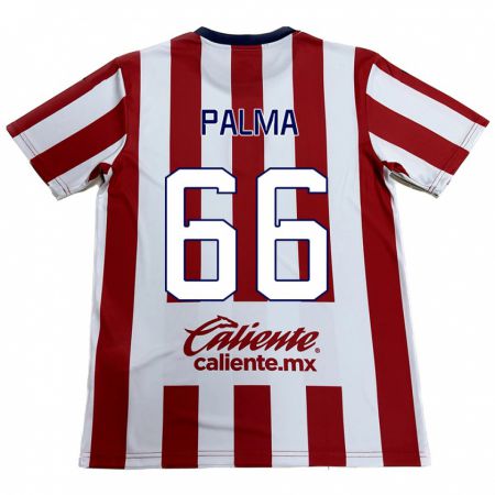 Kandiny Damen Arturo Palma #66 Rot-Weiss Heimtrikot Trikot 2024/25 T-Shirt